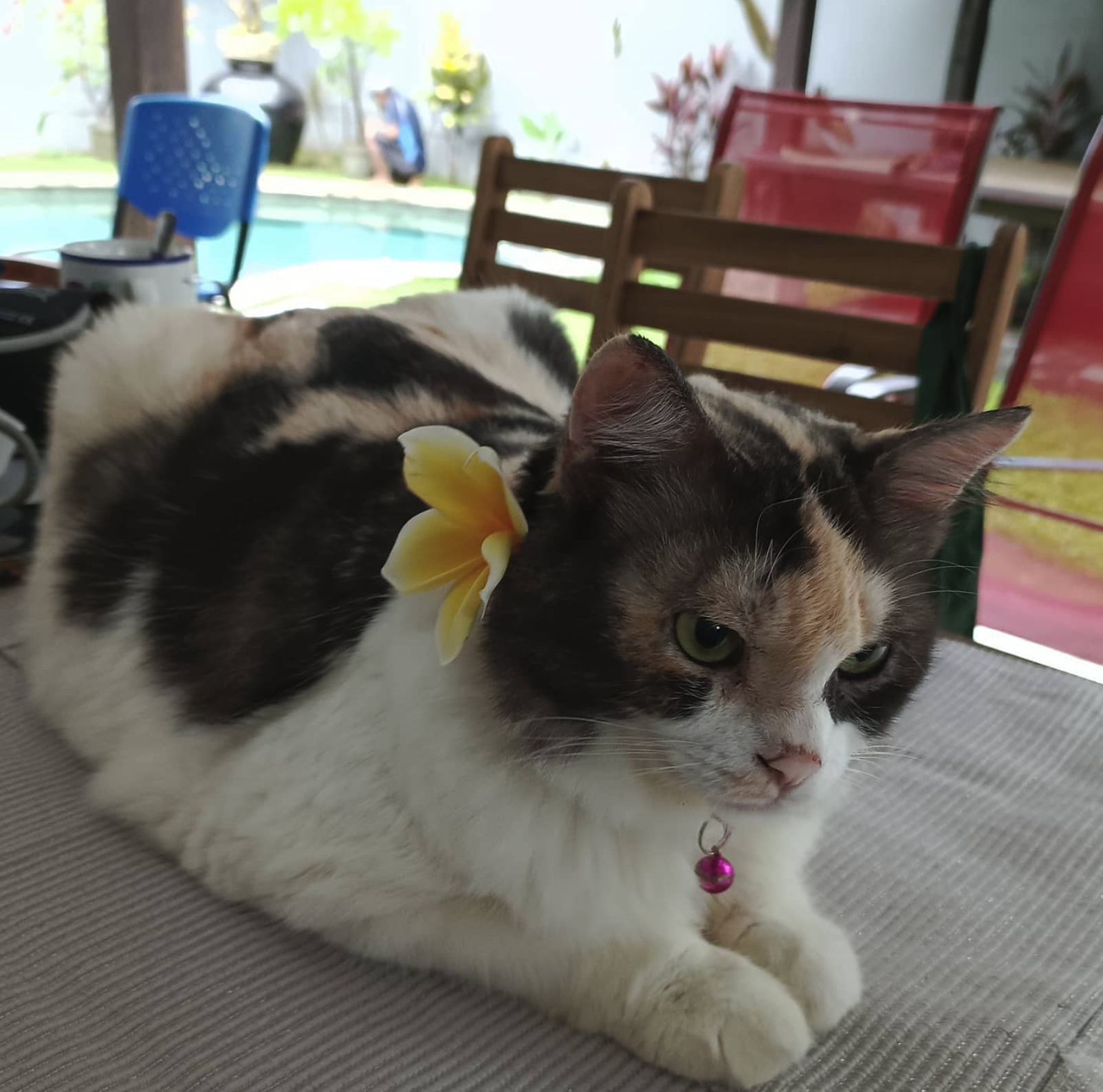 Balinese