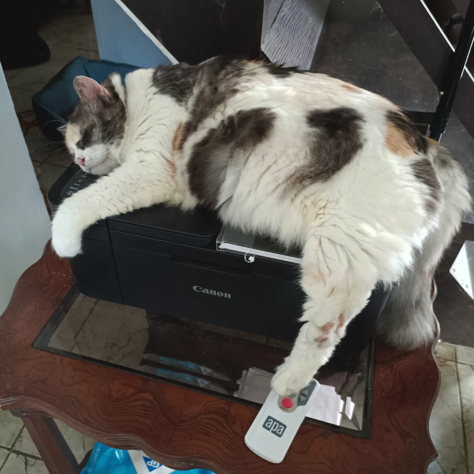 Mooi claims the printer